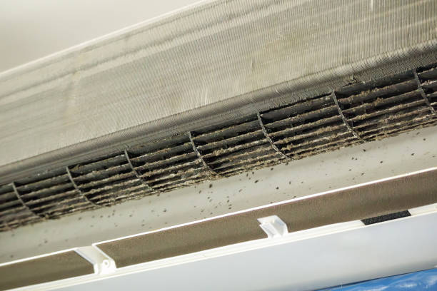 Best Air Duct Cleaning Company Near Me  in River Falls, WI